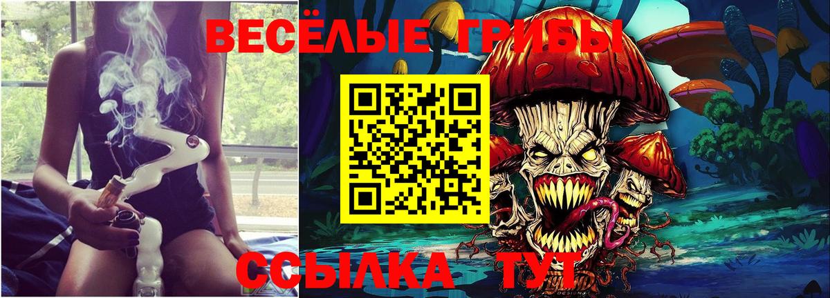 Волжск  Галлюциногенные грибы Cubensis  Вход с VPN 